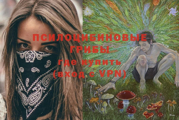 ГАЛЛЮЦИНОГЕННЫЕ ГРИБЫ Гусев