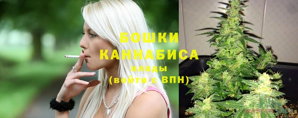 прущая мука Горняк